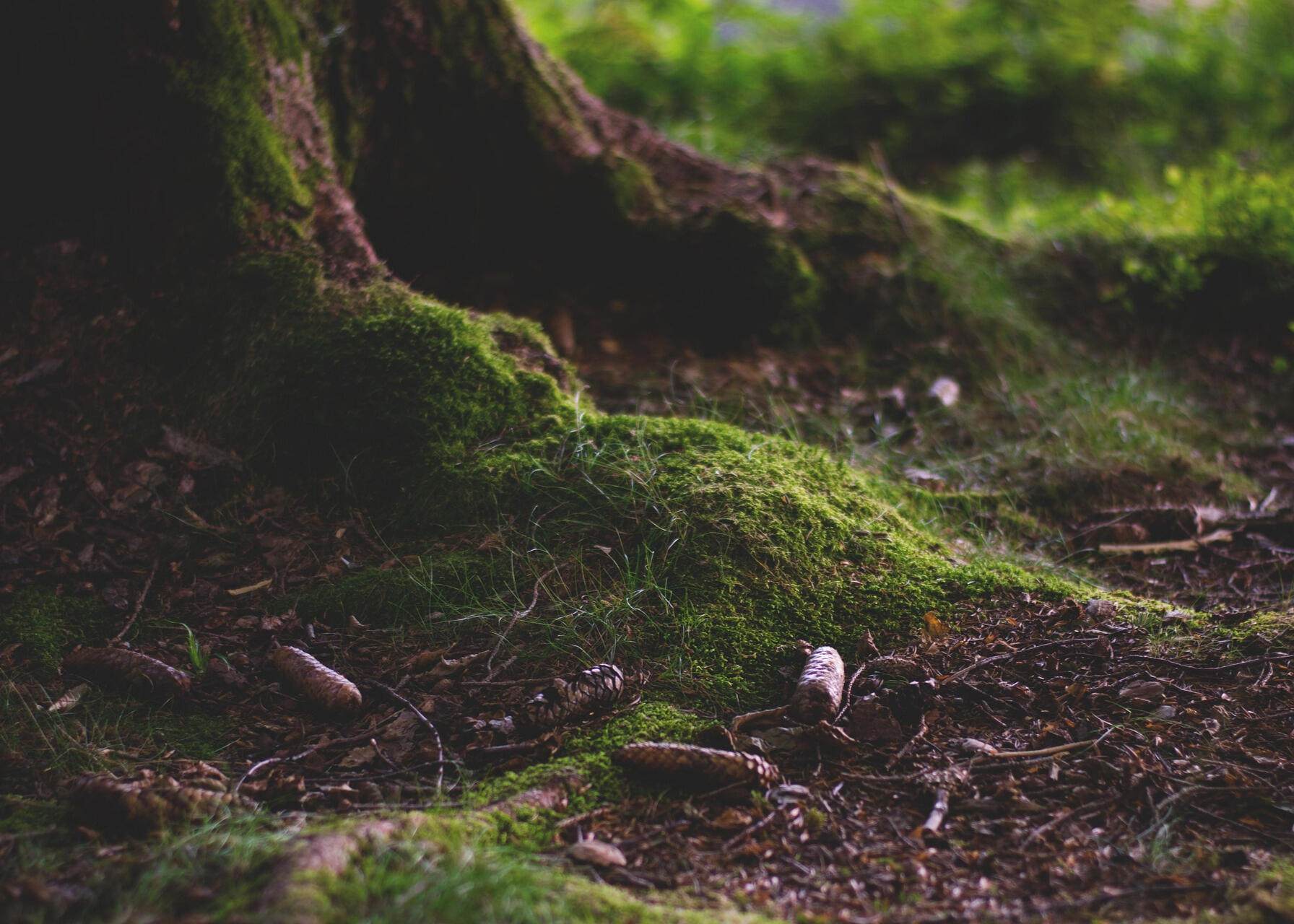 photo by lum3n at pixabay.com